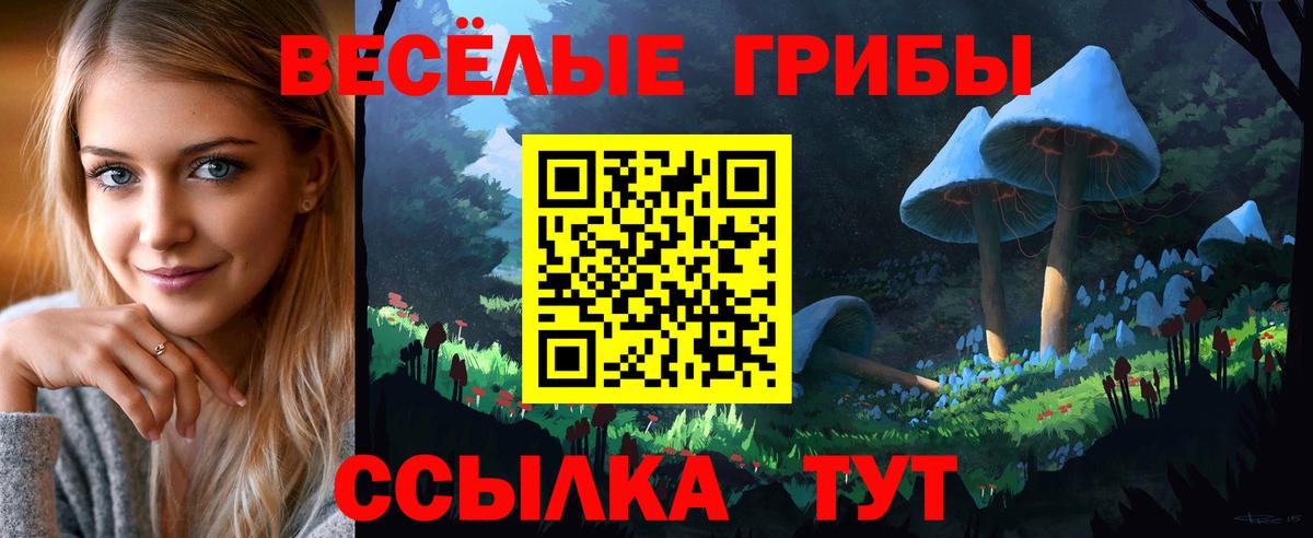 Псилоцибиновые грибы Cubensis Киржач